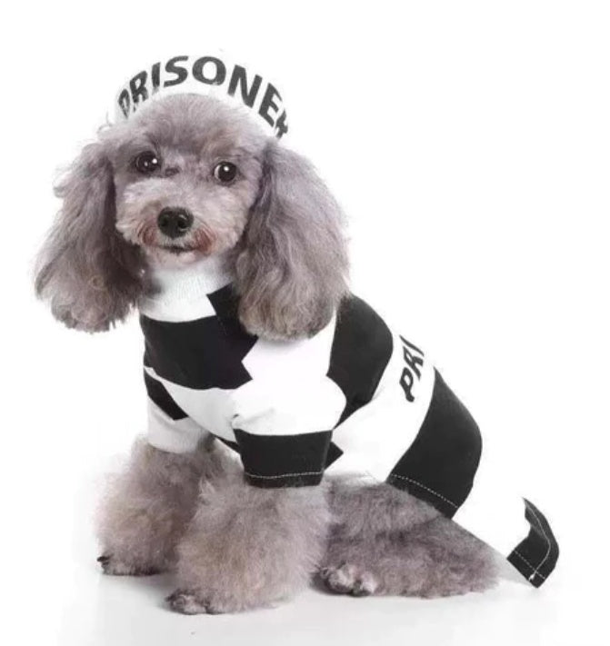 Prisoner Costume