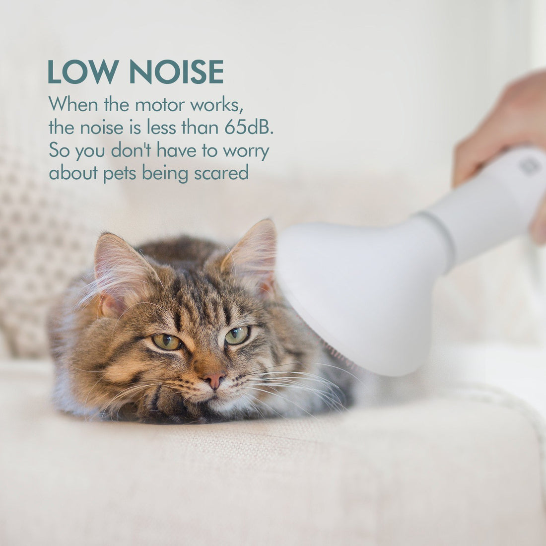 Pet Hair Dryer