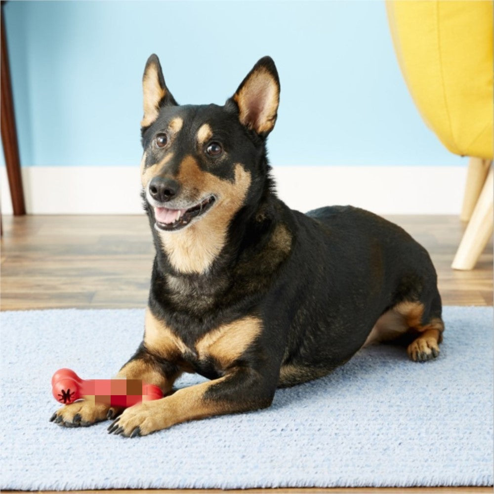 Dog Toys Bite Resistant Rubber