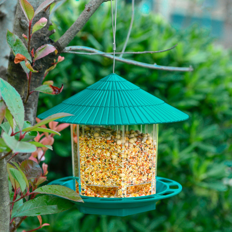 Hanging Transparent Bird Feeder
