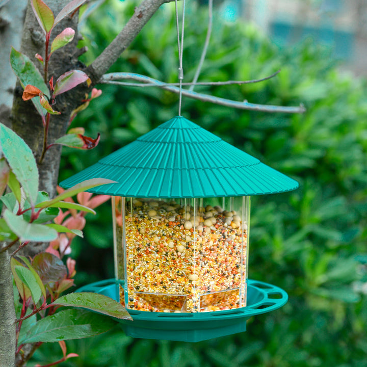 Hanging Transparent Bird Feeder