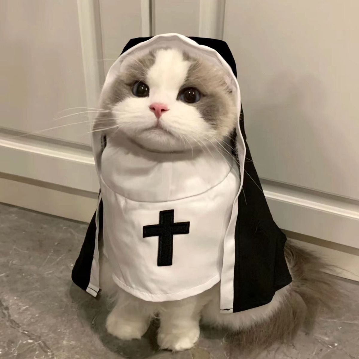 Nun Costume For Dogs & Cats