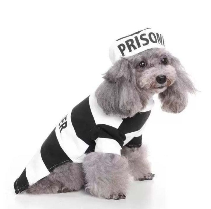 Prisoner Costume