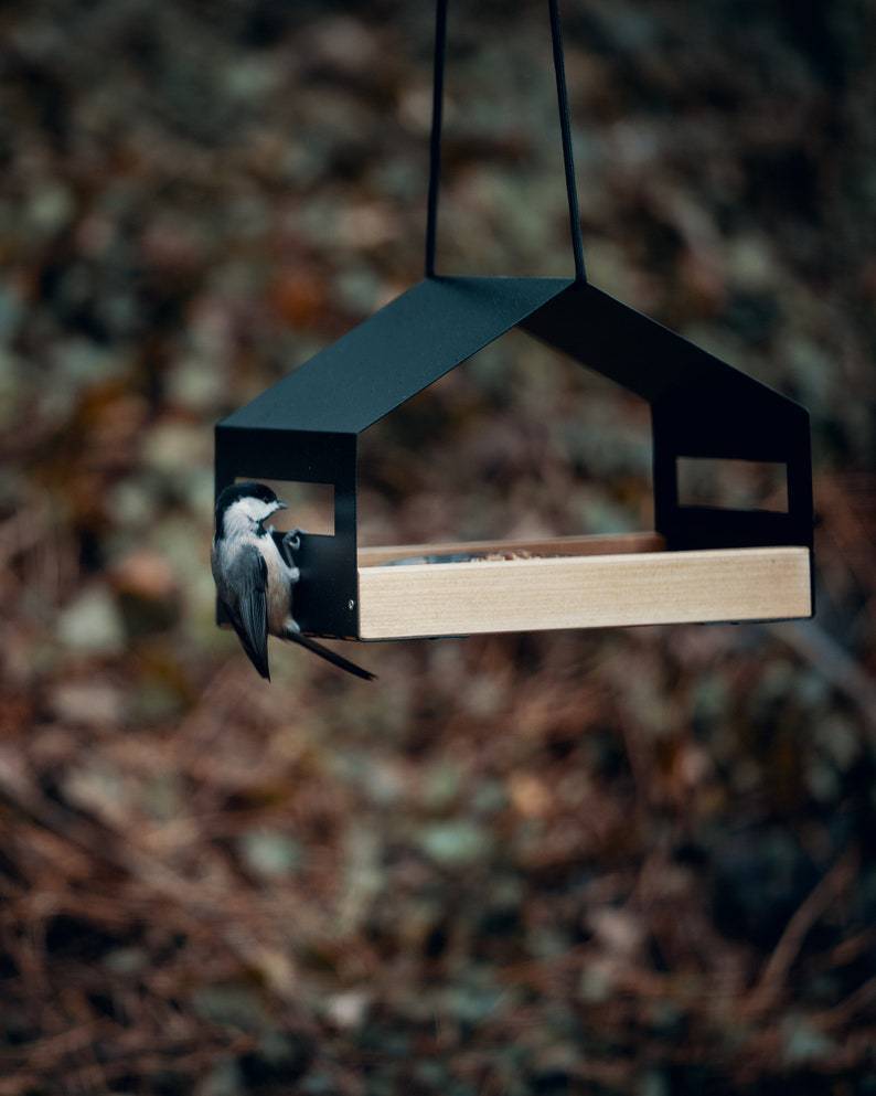 Decoration Hanging Bird Feeder