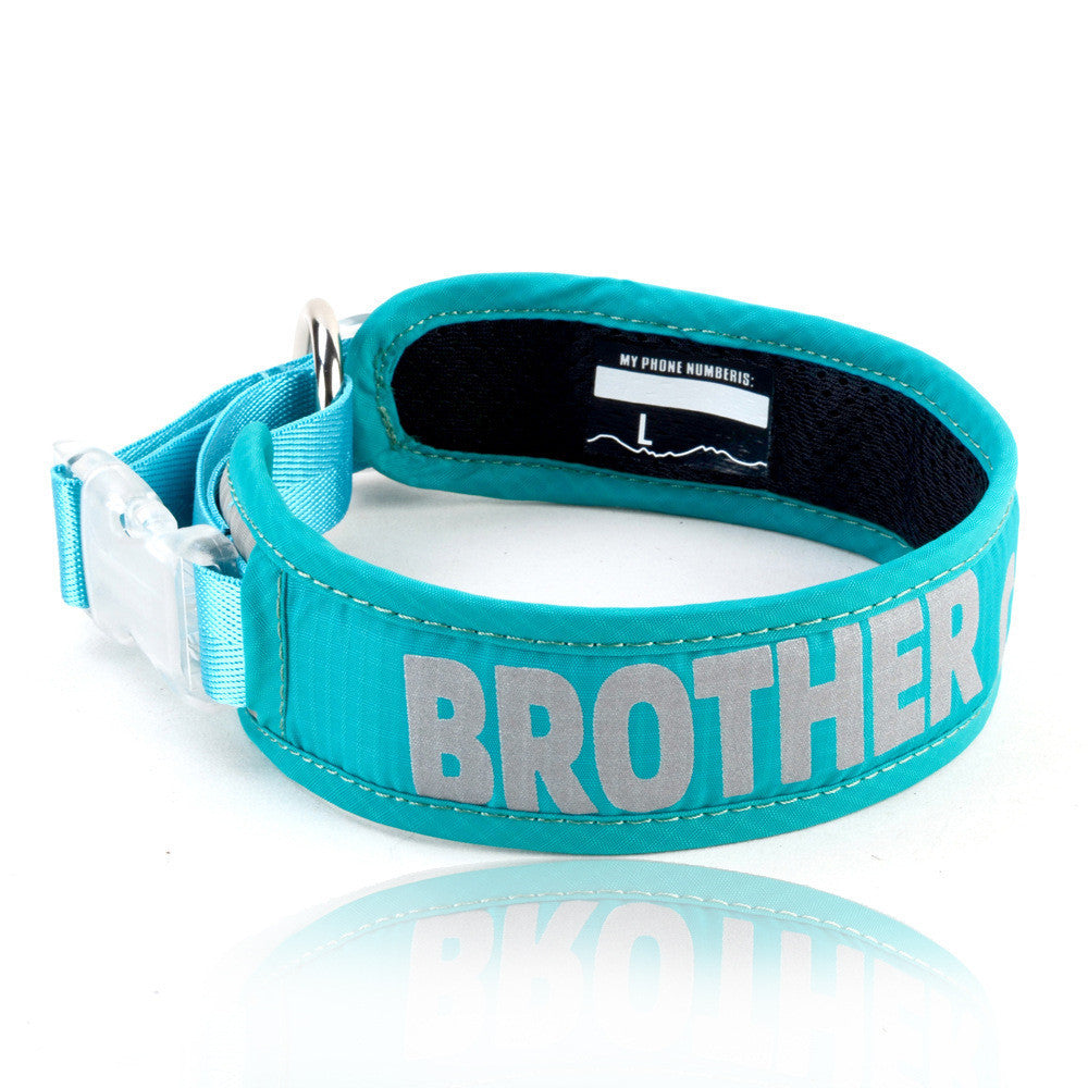 Explosion Proof Big Dog Chest Strap