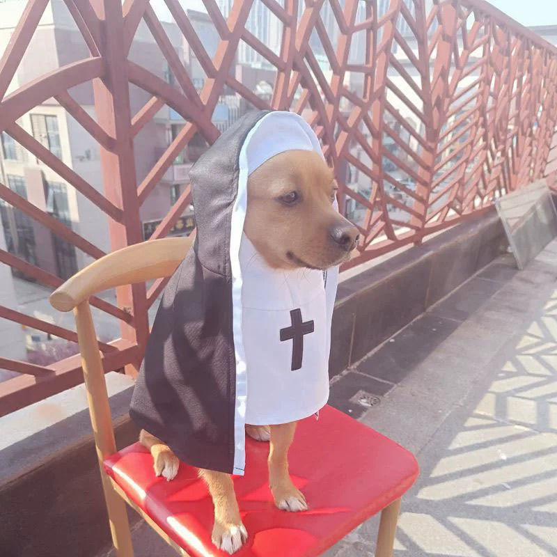 Nun Costume For Dogs & Cats